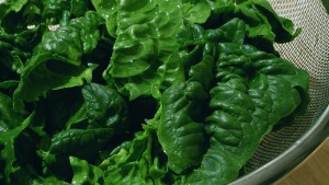 Superfoods Spinach